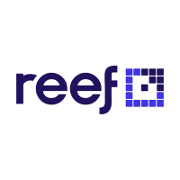 Reef Digital Agency Company Logo by Hadrien Brassens in Sydney NSW